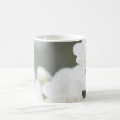 Springtime-Blüte Kaffeetasse (Mittel)