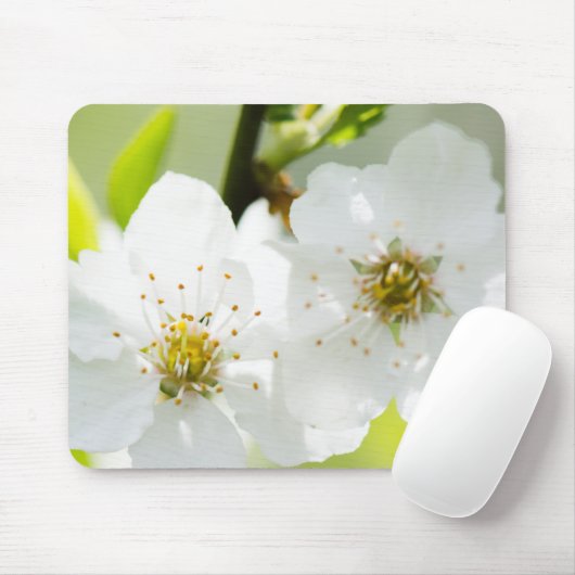 Springtime-Blüte Mousepad (Mit Mouse)