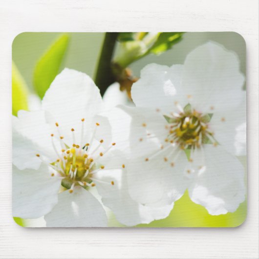 Springtime-Blüte Mousepad (Vorne)