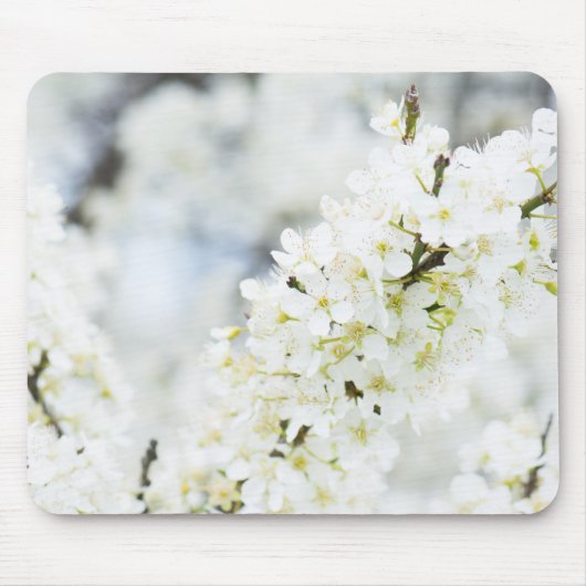 Springtime-Blüte Mousepad (Vorne)
