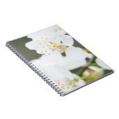 Springtime-Blüte Notizblock (Rechte Seite)