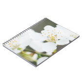 Springtime-Blüte Notizblock (Linke Seite)