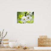 Springtime-Blüte Poster (Küche)