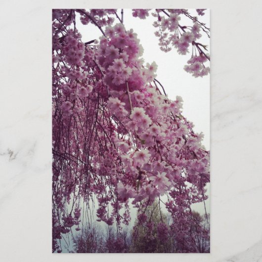 Springtime Briefpapier (Vorderseite)