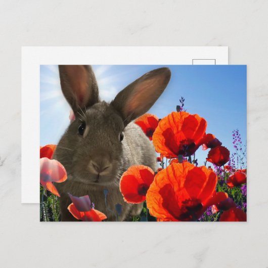 Springtime Bunny Postkarte (Vorne/Hinten)