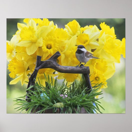 Springtime-Chickadeposter Poster (Vorne)