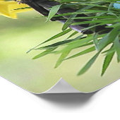 Springtime-Chickadeposter Poster (Ecke)