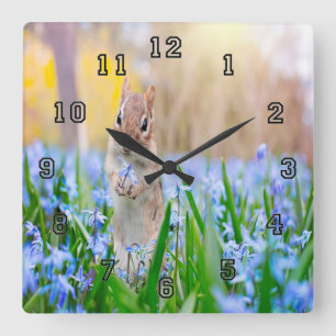 Springtime Chipmunk Quadratische Wanduhr