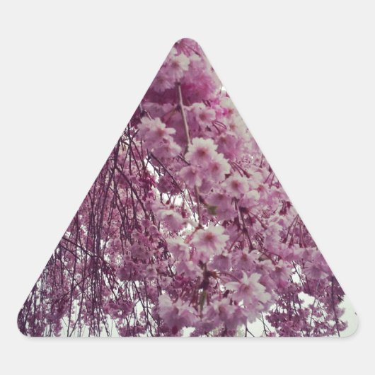 Springtime Dreieckiger Aufkleber (Vorderseite)