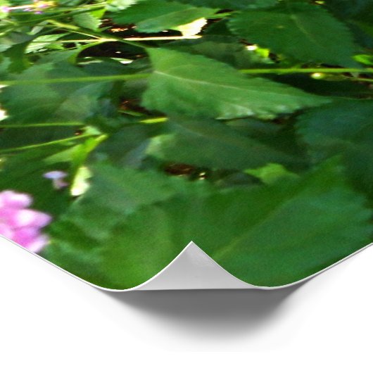 Springtime Duet Poster (Ecke)