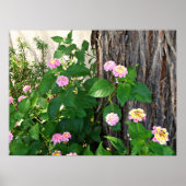 Springtime Duet Poster (Vorne)