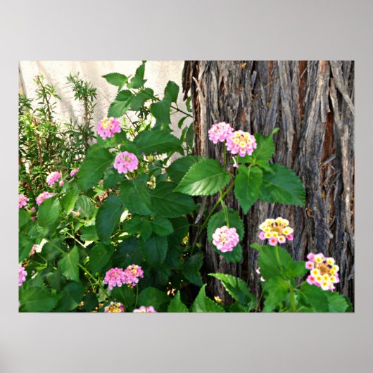 Springtime Duet Poster (Vorne)