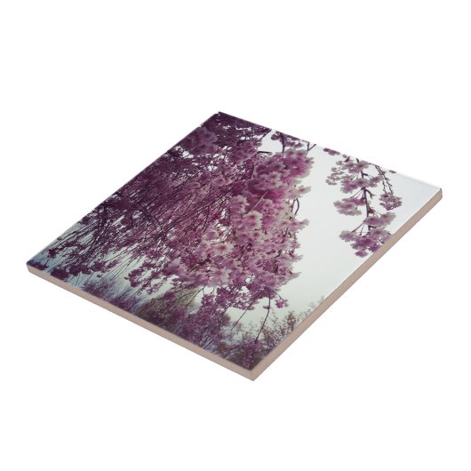 Springtime Fliese (Seite)