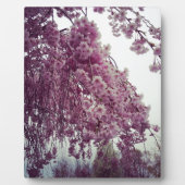 Springtime Fotoplatte (Vorderseite)
