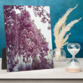 Springtime Fotoplatte (Seite)