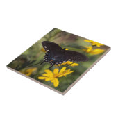 Springtime-Frack Fliese (Seite)