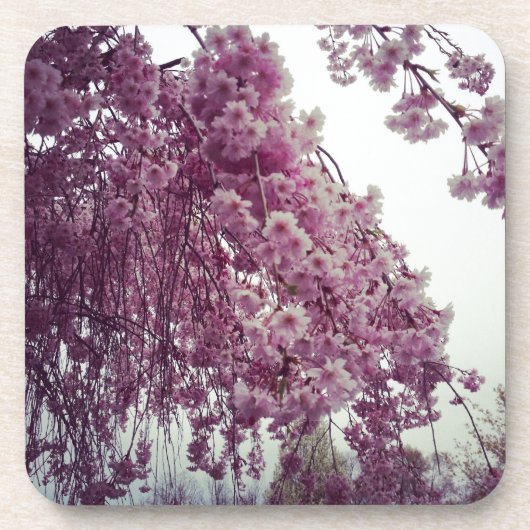 Springtime Getränkeuntersetzer (Vorderseite)