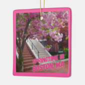 Springtime in Boston, MA Keramikornament (Links)