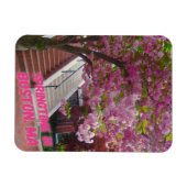 Springtime in Boston, MA Magnet (Horizontal)