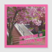Springtime in Boston, MA Magnetkarte (Vorderseite)