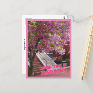 Springtime in Boston, MA Postkarte