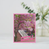 Springtime in Boston, MA Postkarte (Stehend Vorderseite)