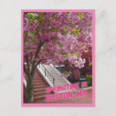 Springtime in Boston, MA Postkarte (Vorderseite)