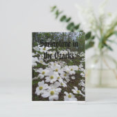 Springtime in den Ozarks Postkarte (Stehend Vorderseite)