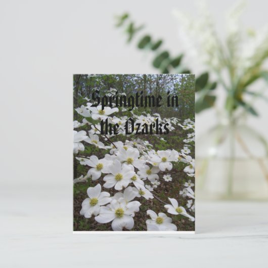 Springtime in den Ozarks Postkarte (Stehend Vorderseite)