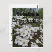 Springtime in den Ozarks Postkarte (Vorne/Hinten)