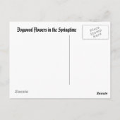 Springtime in den Ozarks Postkarte (Rückseite)