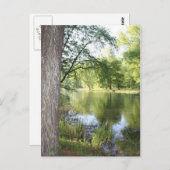 "Springtime in East Tennessee" Postkarte (Vorne/Hinten)