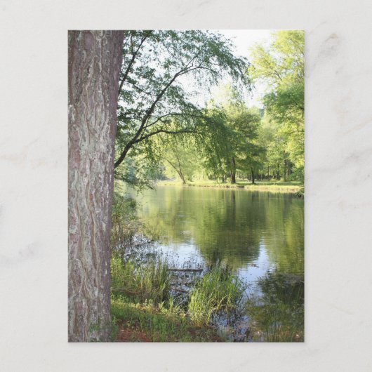 "Springtime in East Tennessee" Postkarte (Vorderseite)