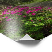 Springtime in Forsyth Park, Savannah Fotodruck (Ecke)