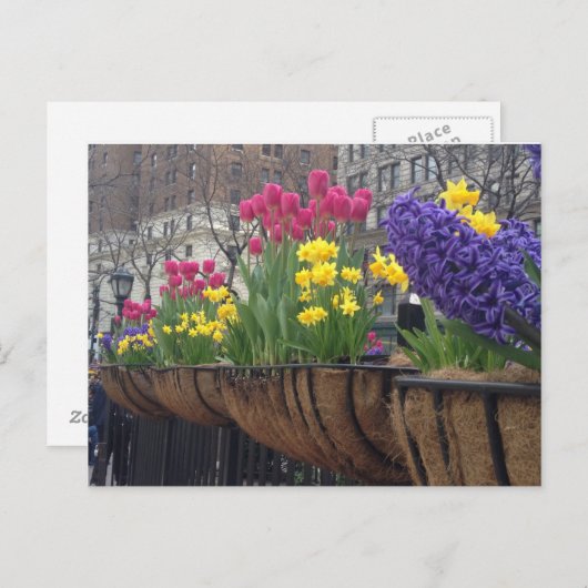 Springtime in Greeley Square NYC Blume New York Postkarte (Vorne/Hinten)