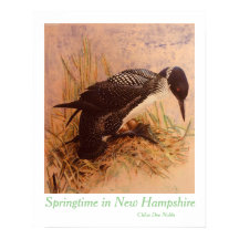 Springtime in New Hampshire von Chloe Dee Noble