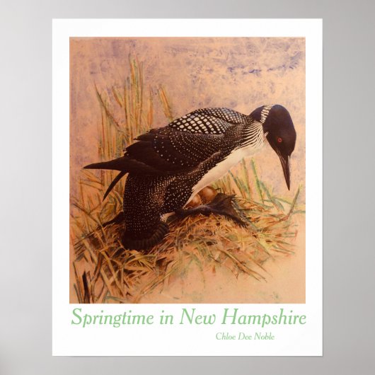 Springtime in New Hampshire von Chloe Dee Noble Poster (Vorne)