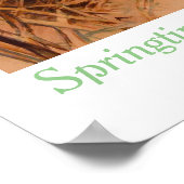 Springtime in New Hampshire von Chloe Dee Noble Poster (Ecke)