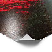 Springtime in Savannah Fotodruck (Ecke)