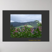 Springtime in Triberg Poster (Vorne)