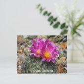 Springtime in Tucson Postkarte (Stehend Vorderseite)