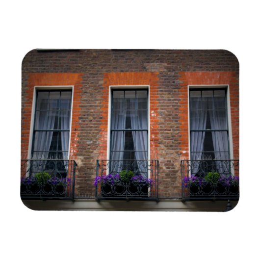 Springtime London Lavender Window Boxes - Magnet (Horizontal)