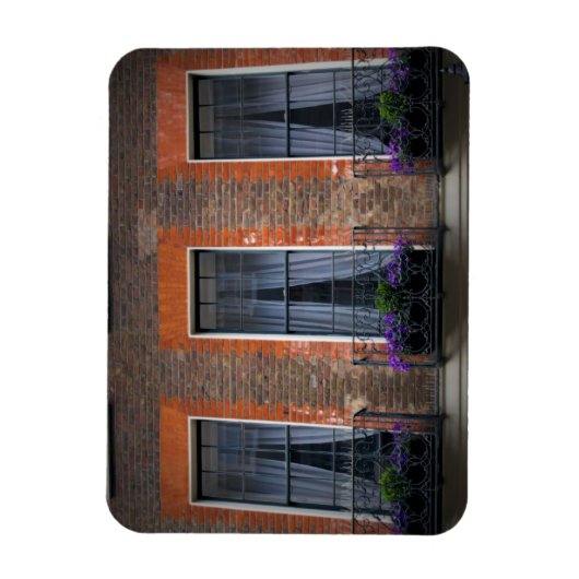Springtime London Lavender Window Boxes - Magnet (Vertikal)