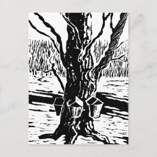 Springtime Magic Postcard Postkarte