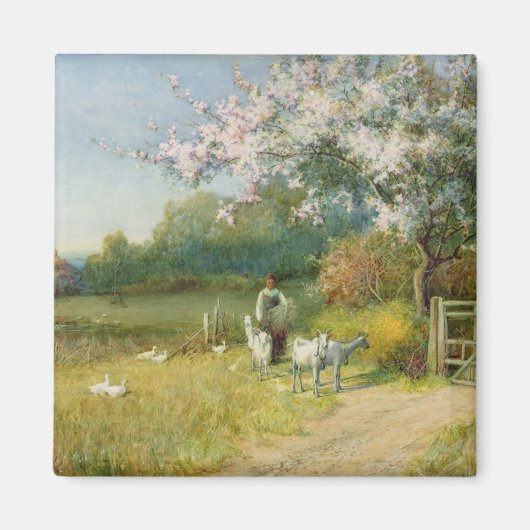 Springtime Magnet (Vorne)