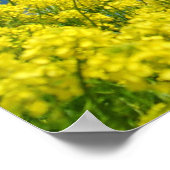 Springtime Meadow Poster (Ecke)
