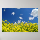 Springtime Meadow Poster (Vorne)