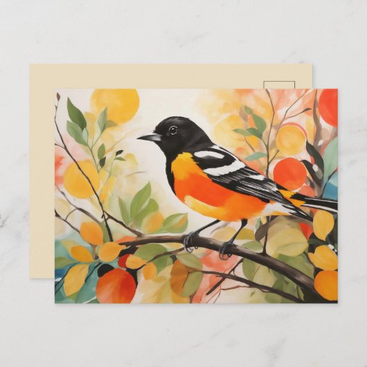Springtime Nature's Charm Bird Baltimore Oriole Postkarte (Vorne/Hinten)