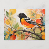 Springtime Nature's Charm Bird Baltimore Oriole Postkarte (Vorderseite)