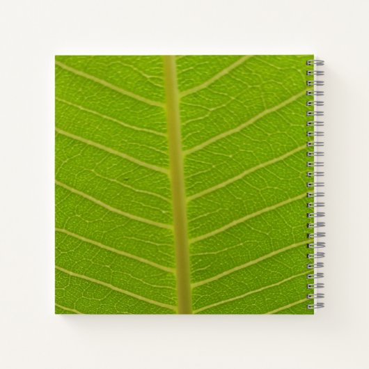 Springtime Notizblock (Rückseite)